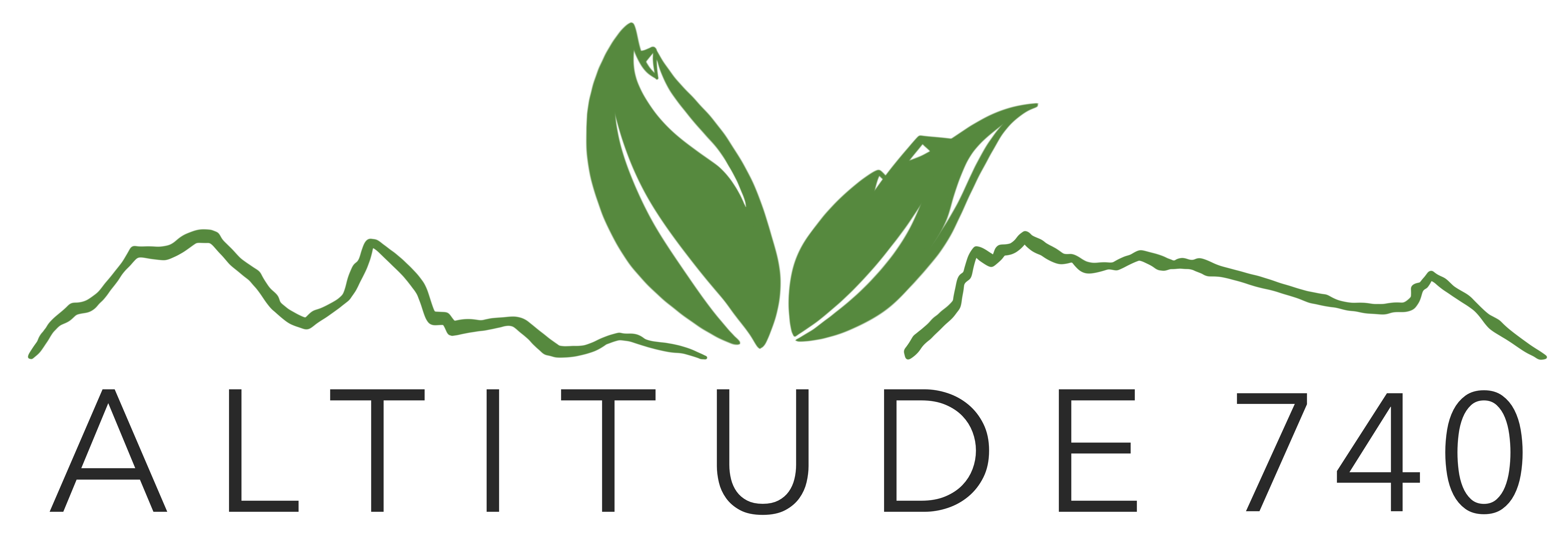 Logo Altitude 740